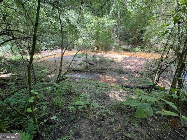 00 Old Columbus Rd, Bowdon, GA 30108
