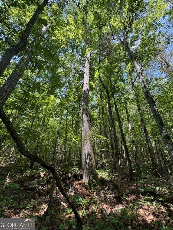 00 Old Columbus Rd, Bowdon, GA 30108