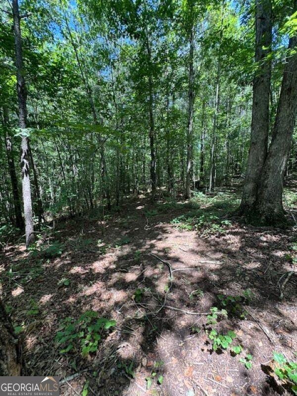 00 Old Columbus Rd, Bowdon, GA 30108