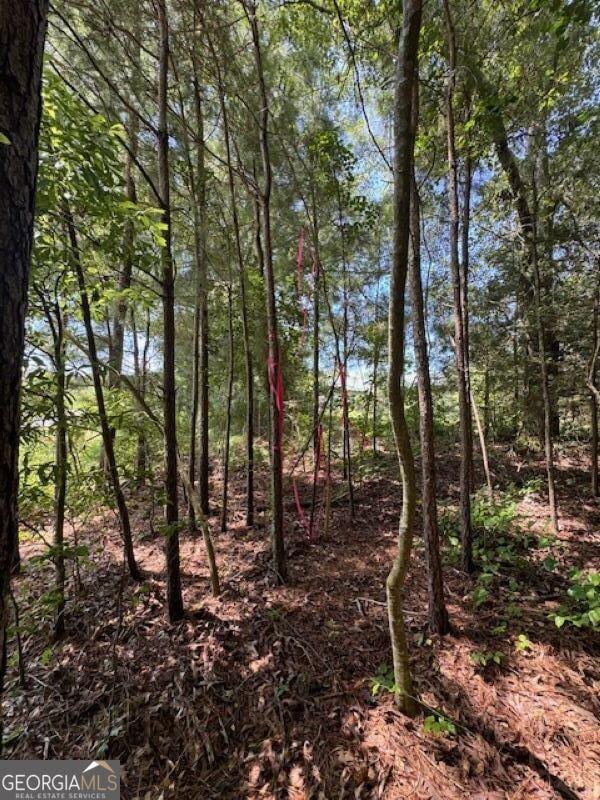 00 Old Columbus Rd, Bowdon, GA 30108