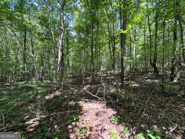 00 Old Columbus Rd, Bowdon, GA 30108