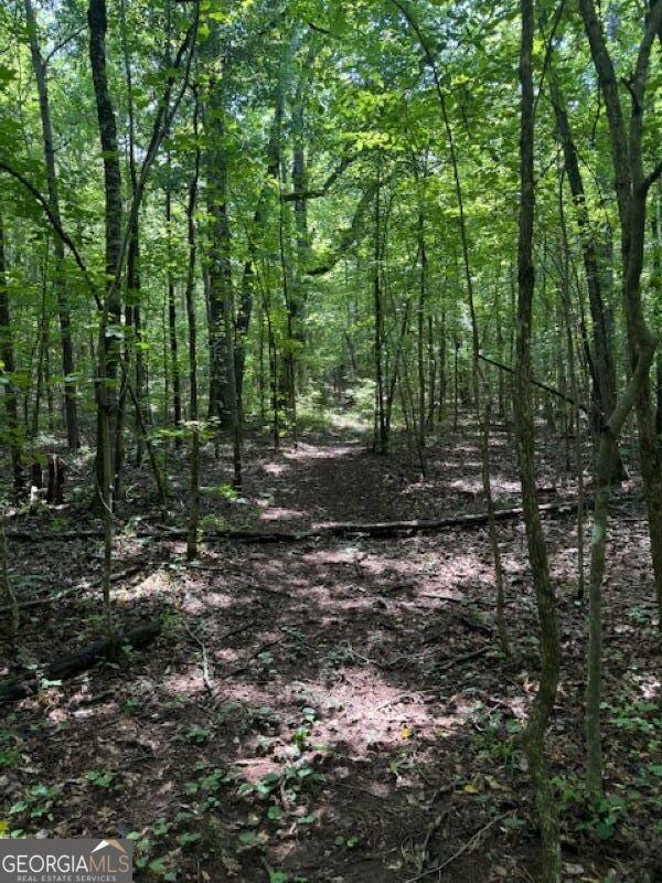 00 Old Columbus Rd, Bowdon, GA 30108