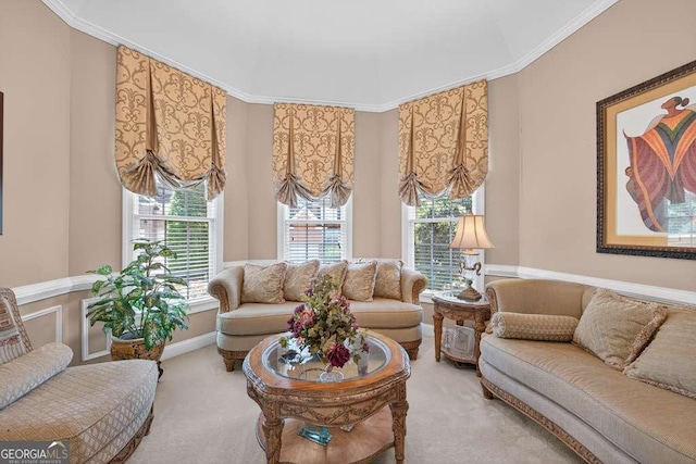 2002 Ivy Ridge Rd SE, Smyrna, GA 30080 - carpeted living room with ornamental molding and healthy amount of natural light