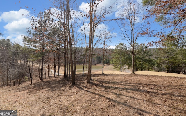 42 Lookout Pt, Toccoa, GA 30577