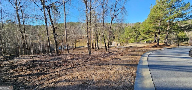 42 Lookout Pt, Toccoa, GA 30577