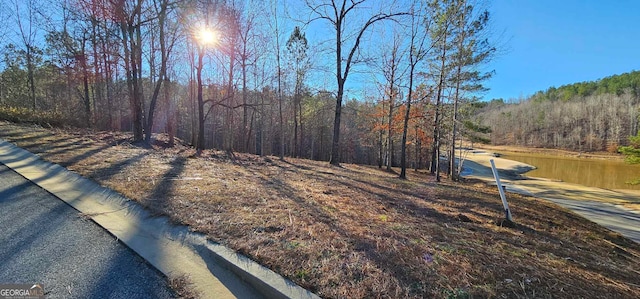 42 Lookout Pt, Toccoa, GA 30577