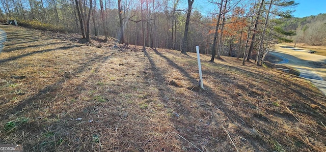 42 Lookout Pt, Toccoa, GA 30577