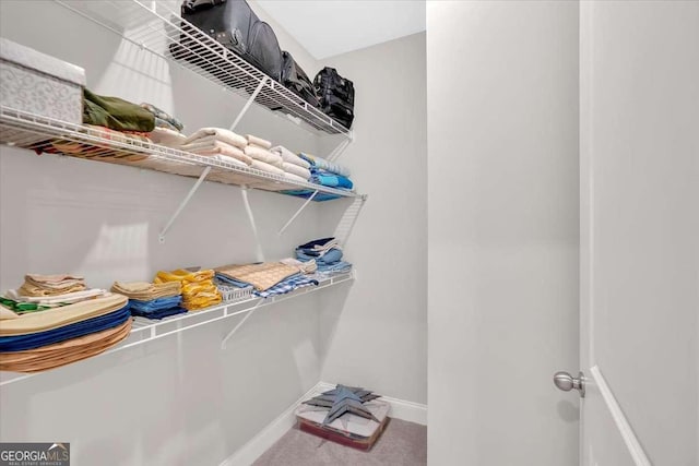 427 Bluffs View Ln, Canton, GA 30114 - walk in closet featuring carpet