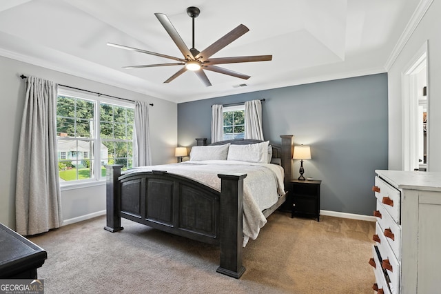 67 Woodlawn Dr, Toccoa, GA 30577 - bedroom with light colored carpet, a ceiling fan, a tray ceiling, and ornamental molding