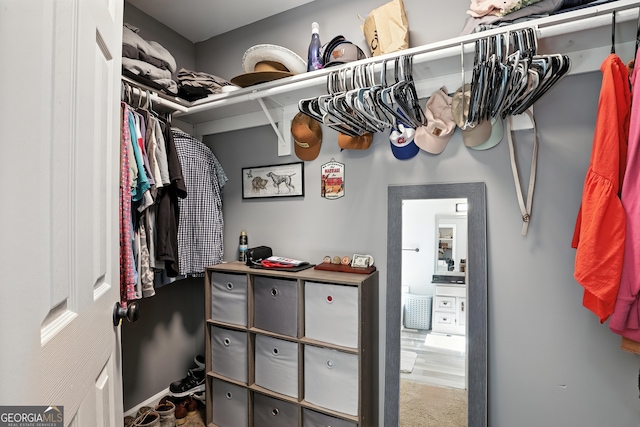 67 Woodlawn Dr, Toccoa, GA 30577 - view of walk in closet
