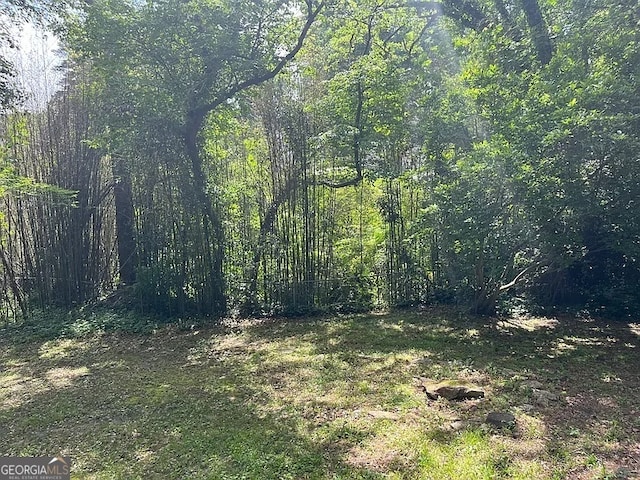 2917 Katherine Valley Rd, Decatur, GA 30032 - view of local wilderness