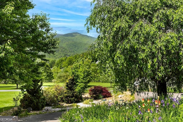 4167 Downings Creek Rd, Hayesville, NC 28904 - view of mountain backdrop
