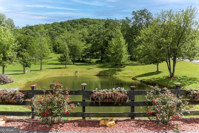 4167 Downings Creek Rd, Hayesville, NC 28904 - view of property's community with a water view and a yard