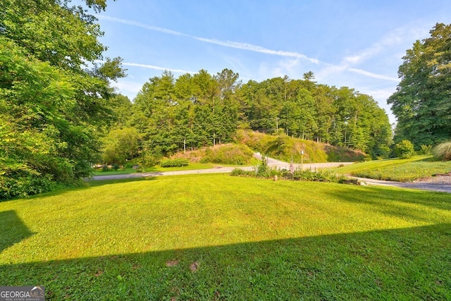 30 Red Bird Ln, Ellijay, GA 30540 - view of green lawn