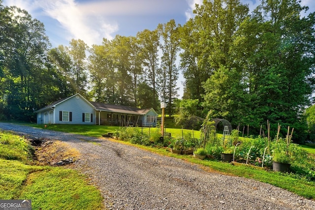 30 Red Bird Ln, Ellijay, GA 30540 - single story home with a vegetable garden, gravel driveway, a front lawn, and view of scattered trees
