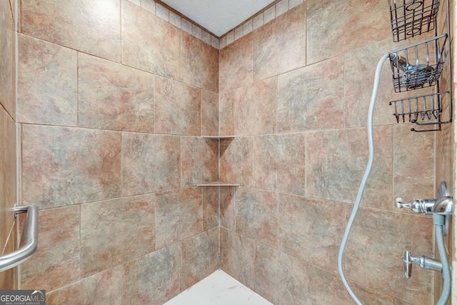 30 Red Bird Ln, Ellijay, GA 30540 - bathroom view of a tile shower