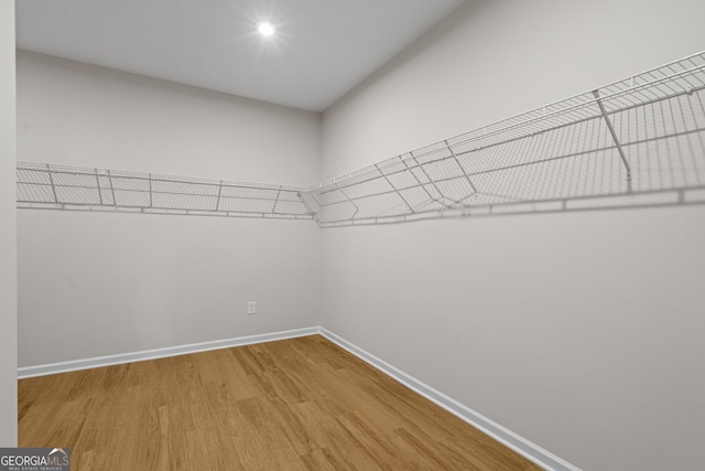 1692 Juniper Berry Way, Loganville, GA 30052 - walk in closet with wood finished floors