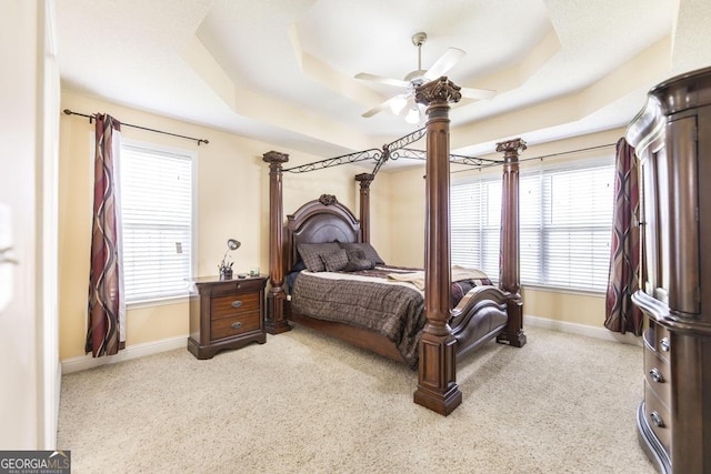 112 Huntwood Ln, Kathleen, GA 31047 - bedroom with a raised ceiling, multiple windows, and carpet flooring