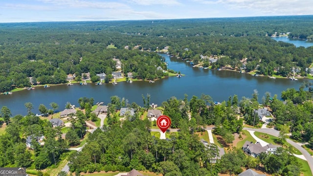 1131 Glen Eagle Dr, Greensboro, GA 30642 - drone / aerial view of a forest and a nearby body of water