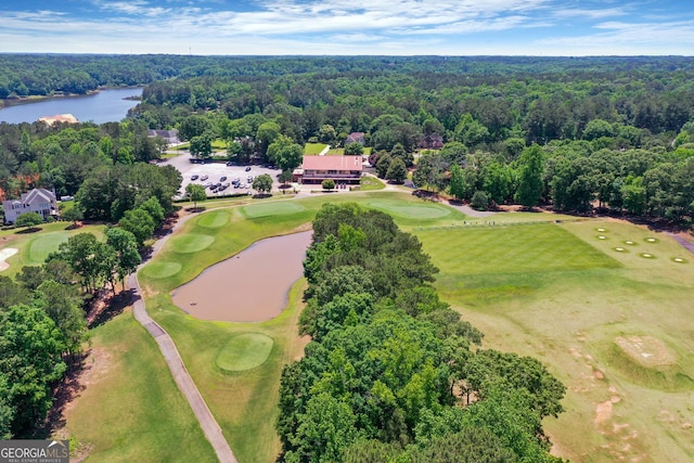 660 Milton Dr, Mcdonough, GA 30252 - drone / aerial view of a large body of water and a forest