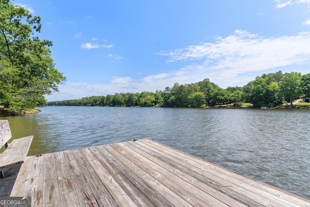 660 Milton Dr, Mcdonough, GA 30252 - dock area with a water view