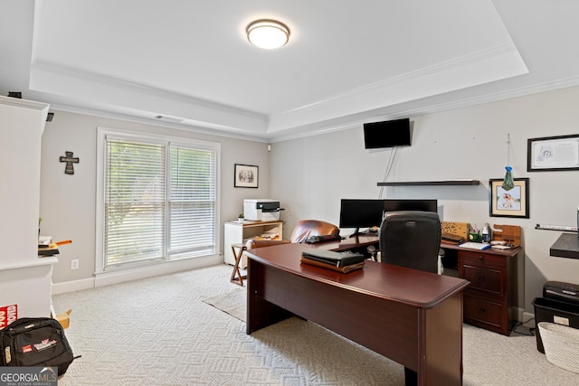 660 Milton Dr, Mcdonough, GA 30252 - office space featuring a raised ceiling, light carpet, and crown molding