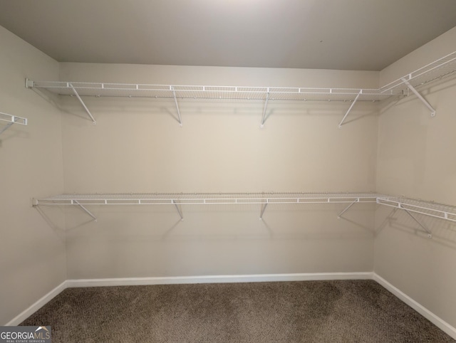 120 Magnaview Dr, Mcdonough, GA 30253 - walk in closet featuring carpet