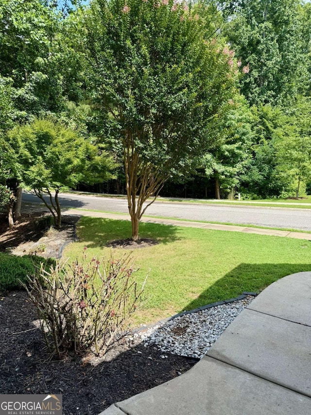 205 Huntington Shoals Dr, Athens, GA 30606 - view of grassy yard