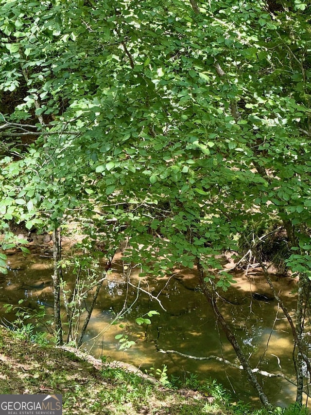 205 Huntington Shoals Dr, Athens, GA 30606 - view of undeveloped land