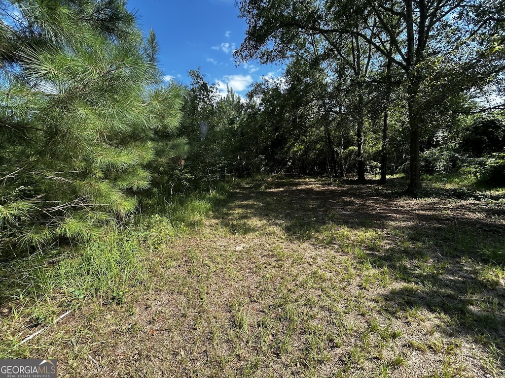 1787 Buddy Johnson Rd, East Dublin, GA 31027