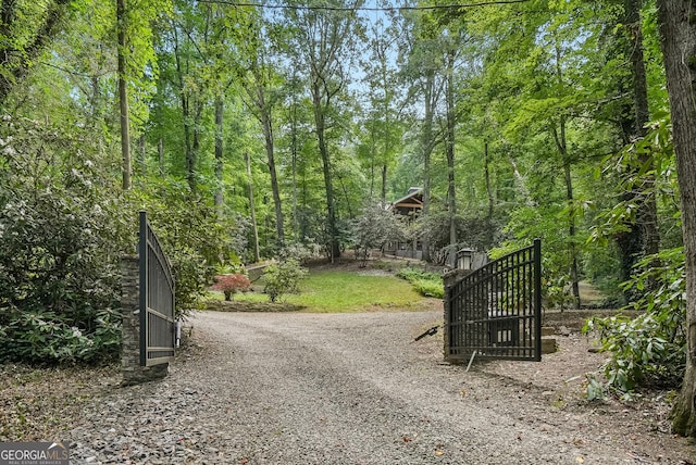 112 Springhill Ln, Clarkesville, GA 30523 - gate with a wooded view