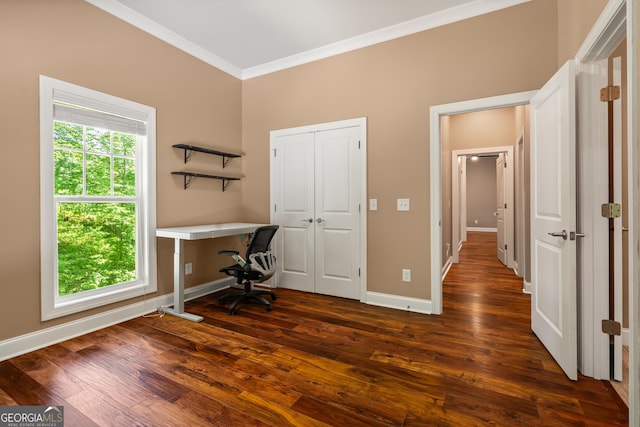112 Springhill Ln, Clarkesville, GA 30523 - unfurnished office featuring ornamental molding, dark wood-type flooring, and built in study area