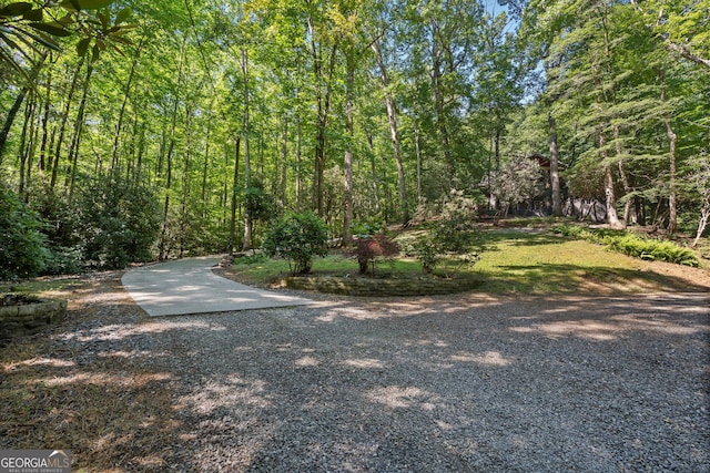 112 Springhill Ln, Clarkesville, GA 30523 - view of street featuring a view of trees