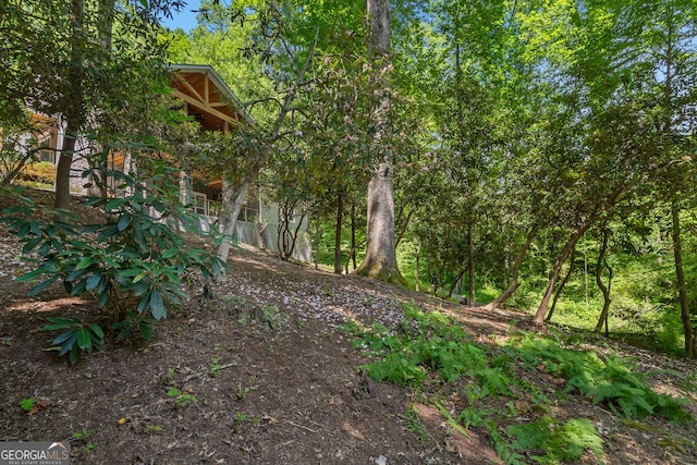 112 Springhill Ln, Clarkesville, GA 30523 - view of nature