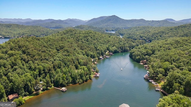 112 Springhill Ln, Clarkesville, GA 30523 - drone / aerial view of a water and mountain view
