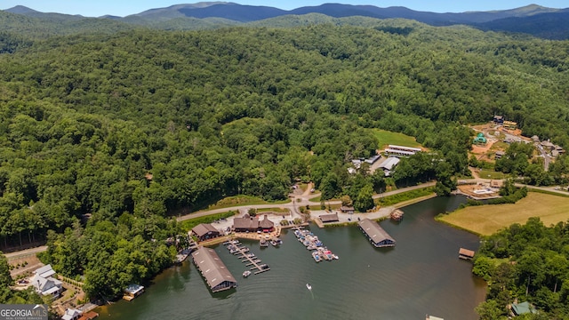 112 Springhill Ln, Clarkesville, GA 30523 - bird's eye view of a heavily wooded area and a water and mountain view