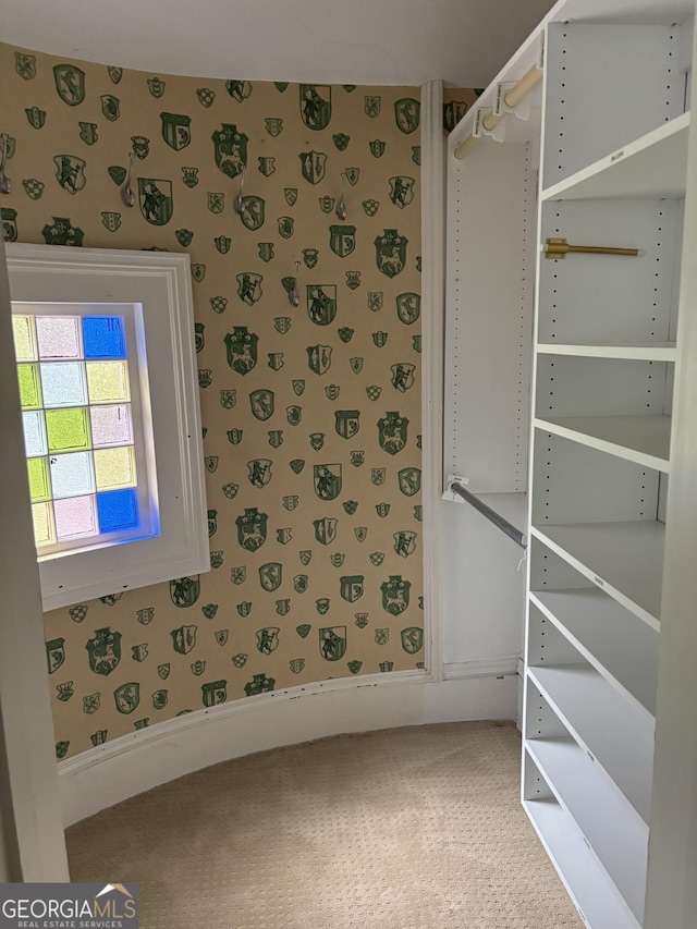320 E 3rd Ave, Rome, GA 30161 - walk in closet with carpet floors