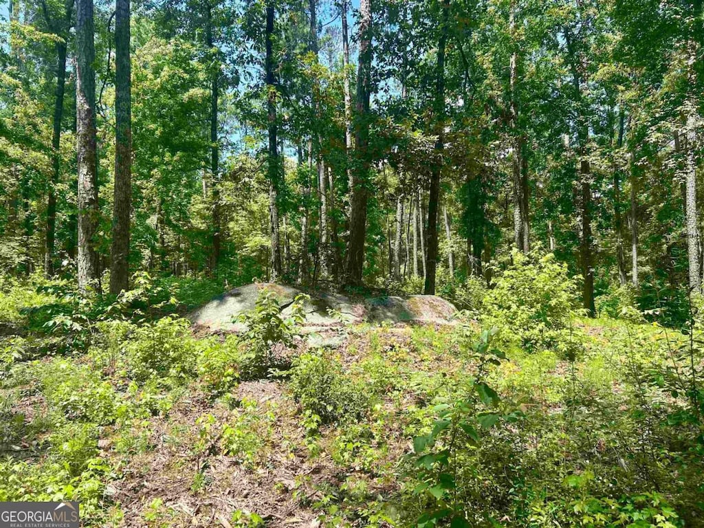1020 Stoneridge Cir, White Plains, GA 30678