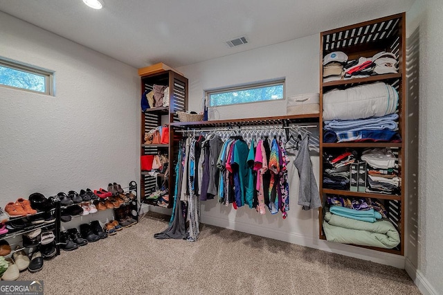 281 Noel C Conaway Rd, Guyton, GA 31312 - spacious closet with carpet flooring