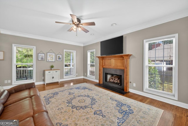 103 W Second St, Greensboro, GA 30642 - living room with crown molding, a ceiling fan, a fireplace with raised hearth, and wood finished floors