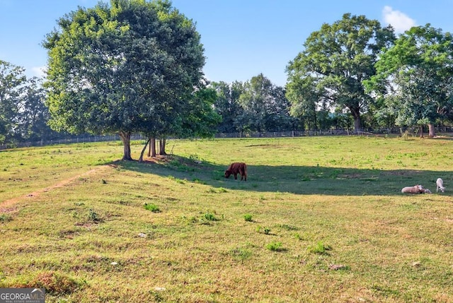 1724 Cedar Grove Church Rd, Winder, GA 30680 - view of yard featuring a view of rural / pastoral area