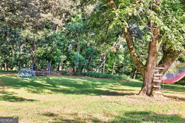 1724 Cedar Grove Church Rd, Winder, GA 30680 - view of green lawn with a trampoline