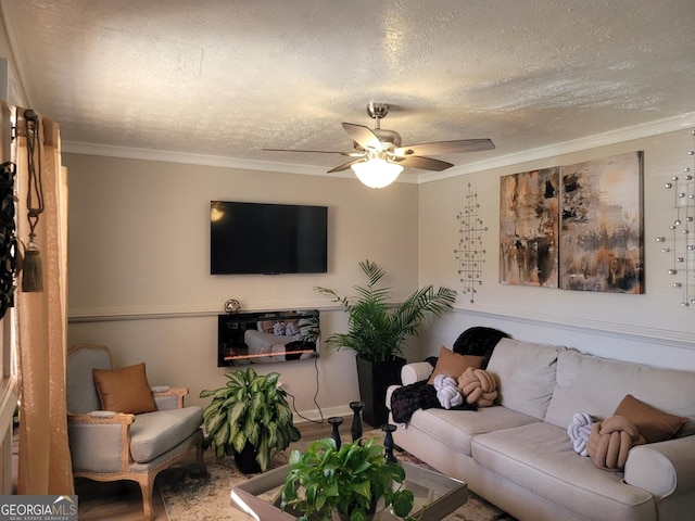 1625 Conley Rd Unit 229, Conley, GA 30288 - living room featuring a ceiling fan, a textured ceiling, and crown molding