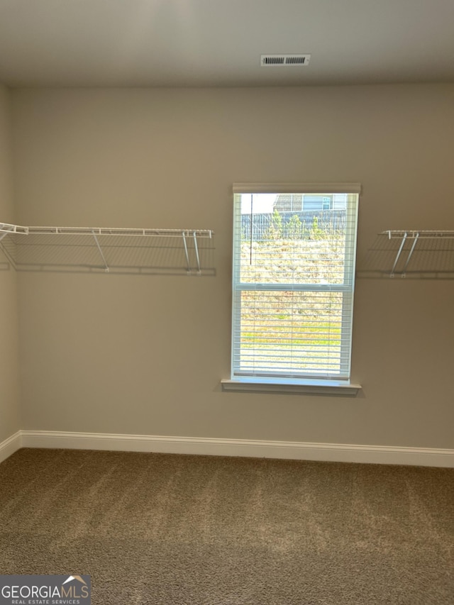 1179 Barrington Place Way, Macon, GA 31220 - walk in closet featuring carpet flooring
