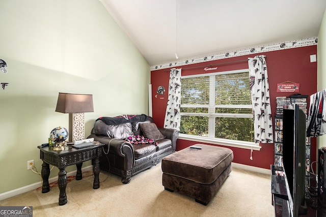 94 Torero Trl, Newnan, GA 30263 - living room with carpet and high vaulted ceiling