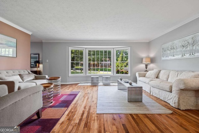 1809 Claron Ave, Conley, GA 30288 - living room with wood-type flooring, crown molding, and a textured ceiling