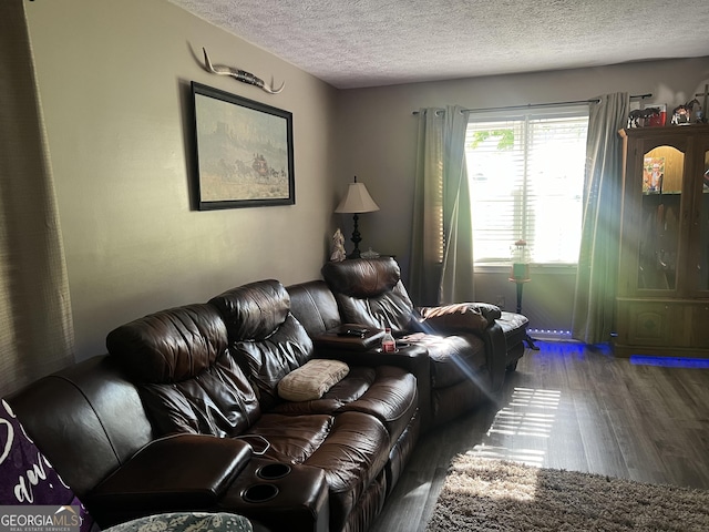 2203 Honeybee Creek Dr, Griffin, GA 30224 - living room with wood finished floors and a textured ceiling