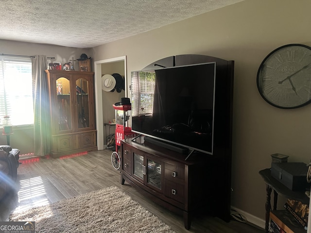 2203 Honeybee Creek Dr, Griffin, GA 30224 - living area featuring light wood finished floors and a textured ceiling
