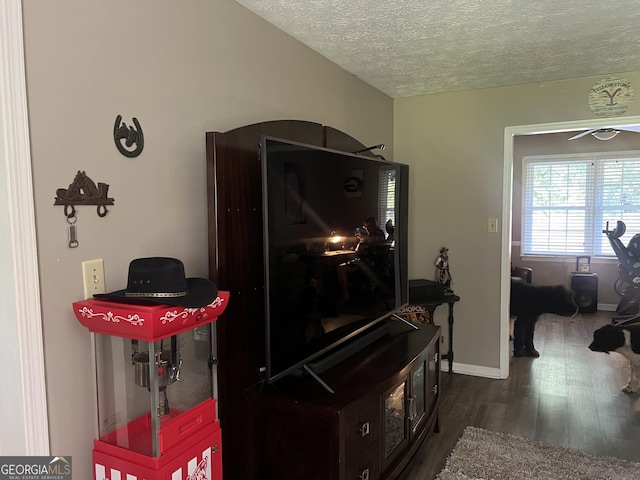 2203 Honeybee Creek Dr, Griffin, GA 30224 - detailed view of wood finished floors and a textured ceiling