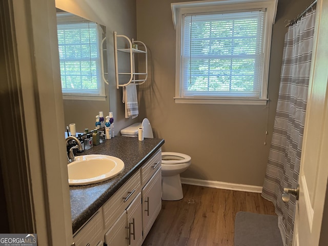 2203 Honeybee Creek Dr, Griffin, GA 30224 - bathroom with plenty of natural light, wood finished floors, vanity, and a shower with curtain